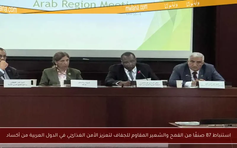 استنباط 87 صنفًا من القمح والشعير المقاوم للجفاف لتعزيز الأمن الغذائي في الدول العربية من أكساد