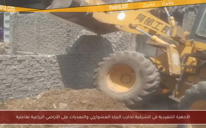 الأجهزة التنفيذية في الشرقية تحارب البناء العشوائي والتعديات على الأراضي الزراعية بفاعلية
