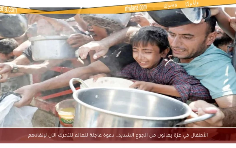 الأطفال في غزة يعانون من الجوع الشديد.. دعوة عاجلة للعالم للتحرك الآن لإنقاذهم