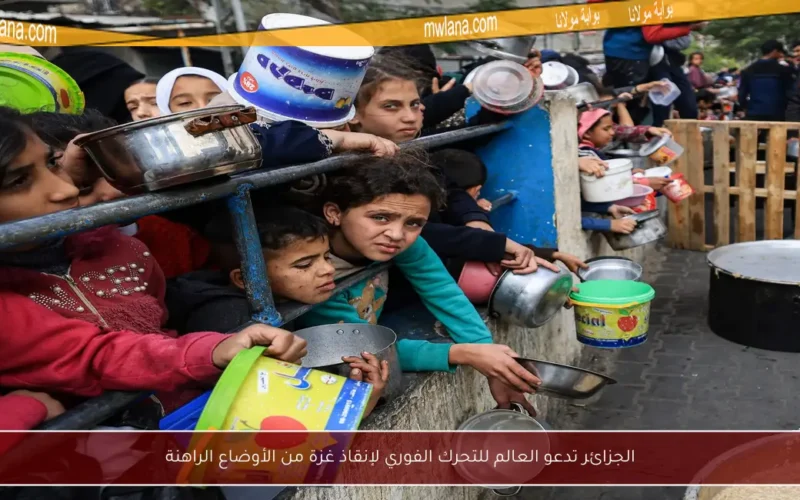 الجزائر تدعو العالم للتحرك الفوري لإنقاذ غزة من الأوضاع الراهنة