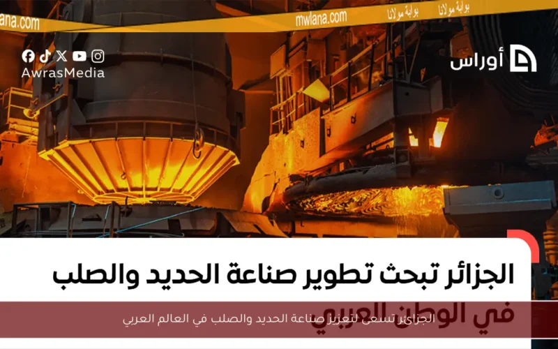 الجزائر تسعى لتعزيز صناعة الحديد والصلب في العالم العربي