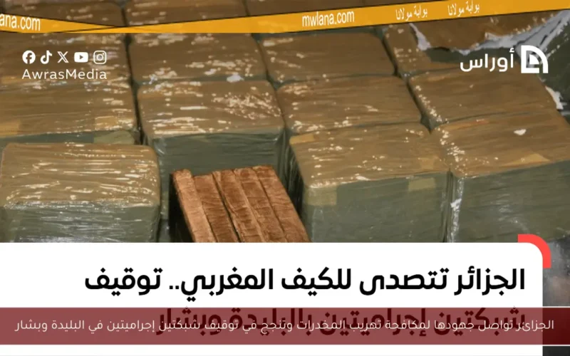 الجزائر تواصل جهودها لمكافحة تهريب المخدرات وتنجح في توقيف شبكتين إجراميتين في البليدة وبشار
