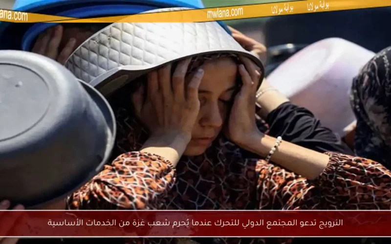 النرويج تدعو المجتمع الدولي للتحرك عندما يُحرم شعب غزة من الخدمات الأساسية