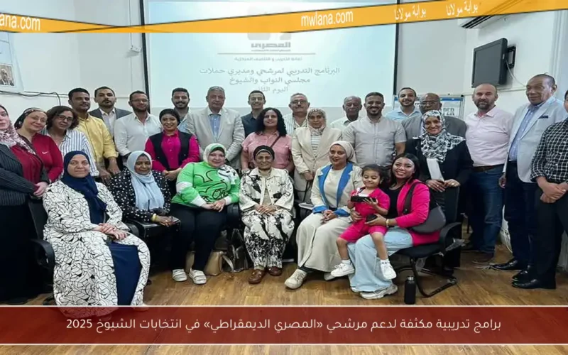 برامج تدريبية مكثفة لدعم مرشحي «المصري الديمقراطي» في انتخابات الشيوخ 2025