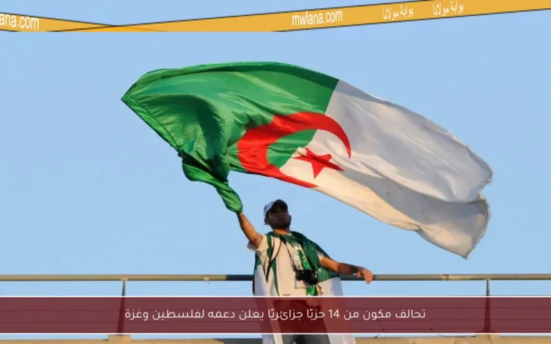 تحالف مكون من 14 حزبًا جزائريًا يعلن دعمه لفلسطين وغزة