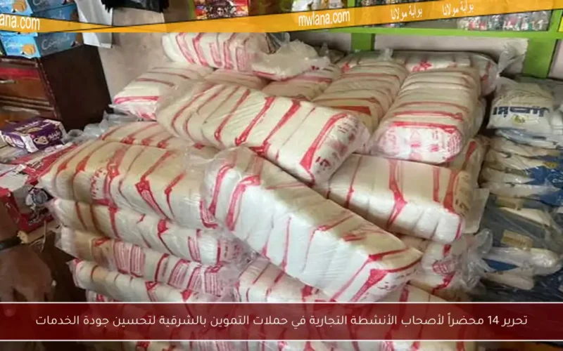 تحرير 14 محضراً لأصحاب الأنشطة التجارية في حملات التموين بالشرقية لتحسين جودة الخدمات