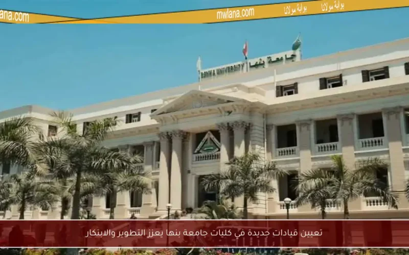 تعيين قيادات جديدة في كليات جامعة بنها يعزز التطوير والابتكار