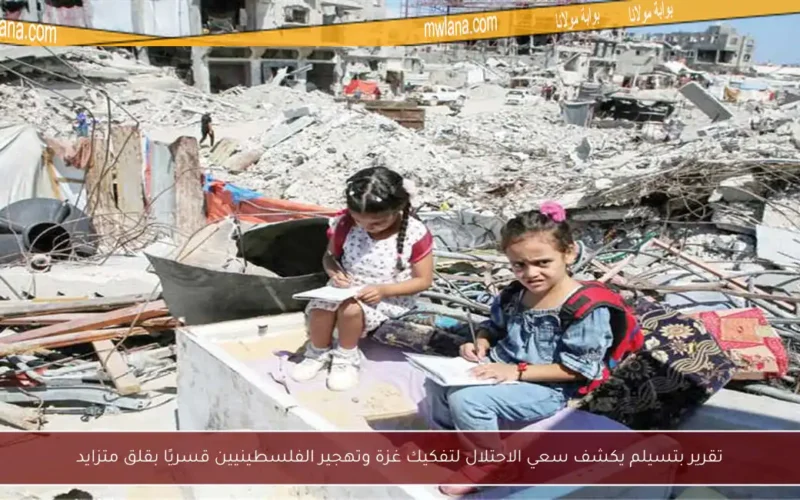 تقرير بتسيلم يكشف سعي الاحتلال لتفكيك غزة وتهجير الفلسطينيين قسريًا بقلق متزايد