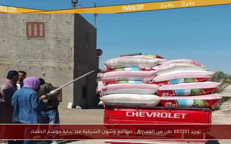 توريد 683351 طن من القمح إلى صوامع وشون الشرقية منذ بداية موسم الحصاد