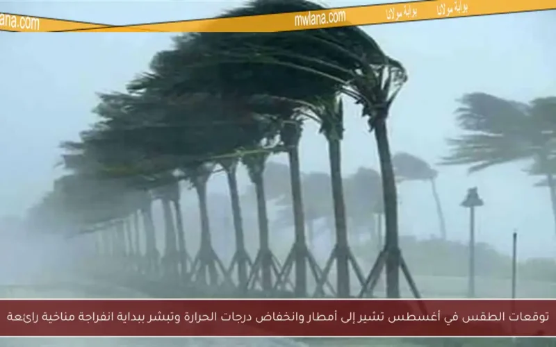 توقعات الطقس في أغسطس تشير إلى أمطار وانخفاض درجات الحرارة وتبشر ببداية انفراجة مناخية رائعة