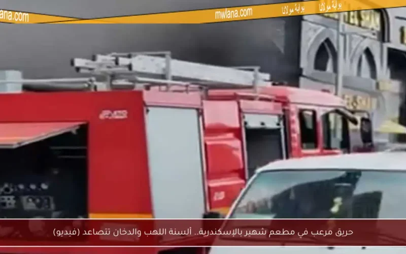 حريق مرعب في مطعم شهير بالإسكندرية.. ألسنة اللهب والدخان تتصاعد (فيديو)