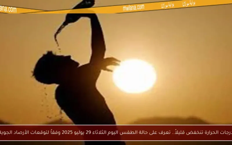 درجات الحرارة تنخفض قليلاً.. تعرف على حالة الطقس اليوم الثلاثاء 29 يوليو 2025 وفقاً لتوقعات الأرصاد الجوية