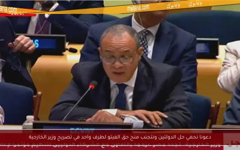 دعونا نحمي حل الدولتين ونتجنب منح حق الفيتو لطرف واحد في تصريح وزير الخارجية