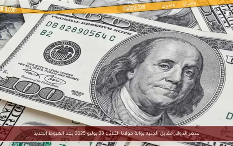سعر الدولار مقابل الجنيه بوابة مولانا الثلاثاء 29 يوليو 2025 بعد الهبوط الجديد