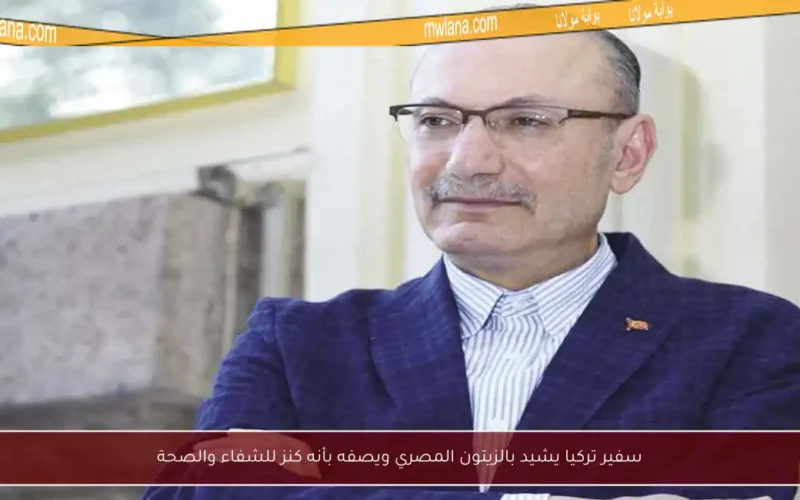 سفير تركيا يشيد بالزيتون المصري ويصفه بأنه كنز للشفاء والصحة