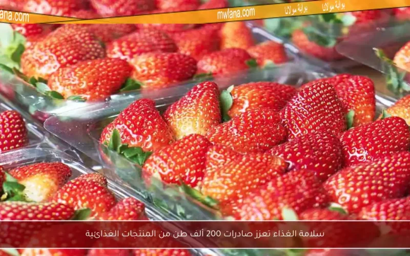 سلامة الغذاء تعزز صادرات 200 ألف طن من المنتجات الغذائية