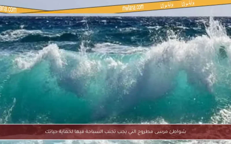 شواطئ مرسى مطروح التي يجب تجنب السباحة فيها لحماية حياتك