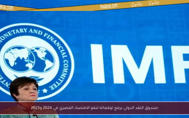 صندوق النقد الدولي يرفع توقعاته لنمو الاقتصاد المصري في 2024 و2025