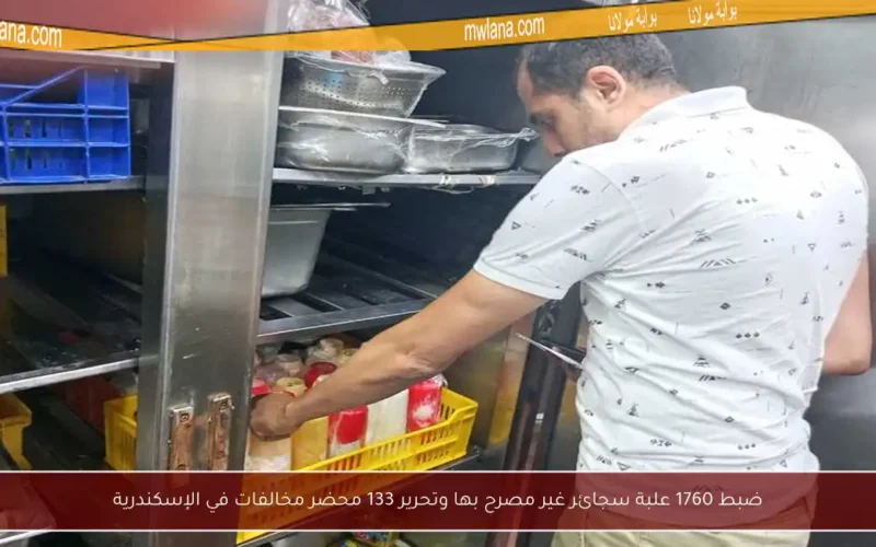 ضبط 1760 علبة سجائر غير مصرح بها وتحرير 133 محضر مخالفات في الإسكندرية
