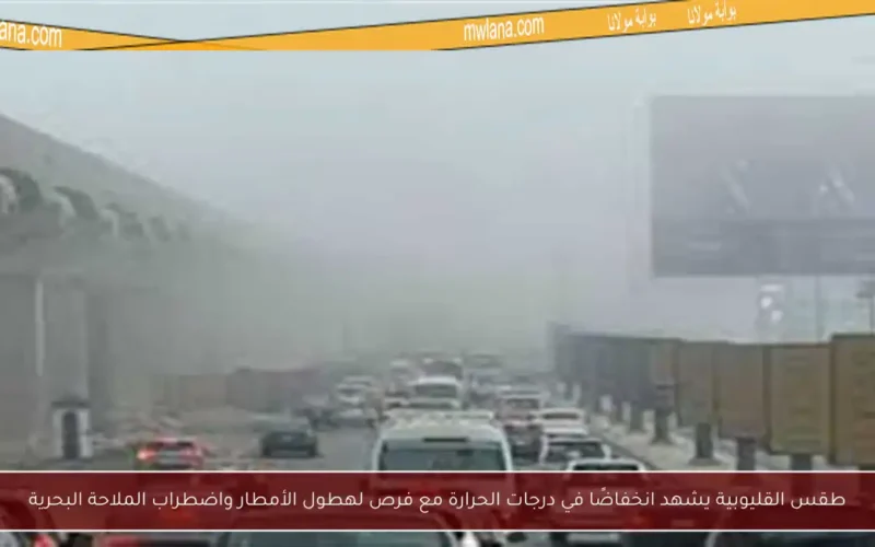 طقس القليوبية يشهد انخفاضًا في درجات الحرارة مع فرص لهطول الأمطار واضطراب الملاحة البحرية