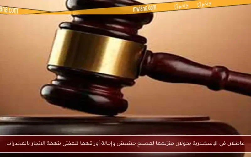 عاطلان في الإسكندرية يحولان منزلهما لمصنع حشيش وإحالة أوراقهما للمفتي بتهمة الاتجار بالمخدرات
