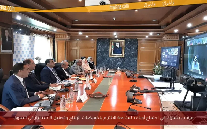 عرقاب يشارك في اجتماع أوبك+ لمتابعة الالتزام بتخفيضات الإنتاج وتحقيق الاستقرار في السوق