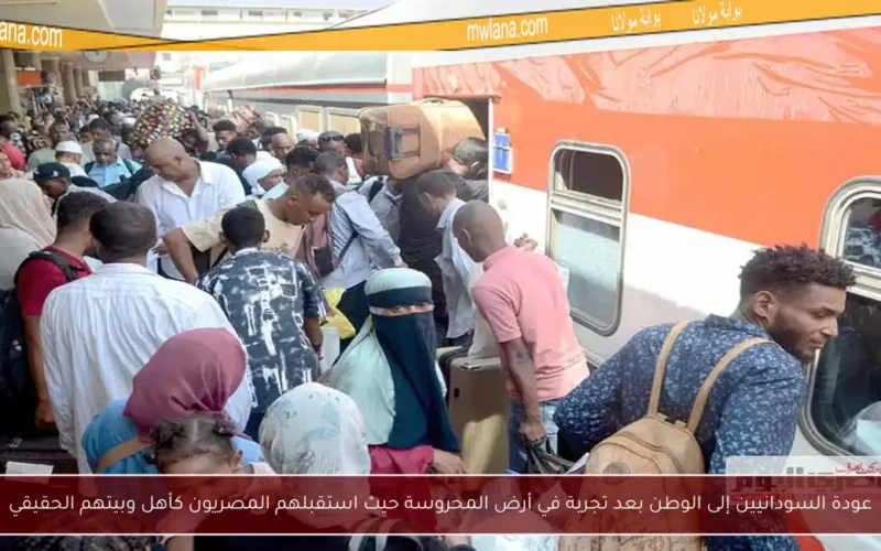 عودة السودانيين إلى الوطن بعد تجربة في أرض المحروسة حيث استقبلهم المصريون كأهل وبيتهم الحقيقي