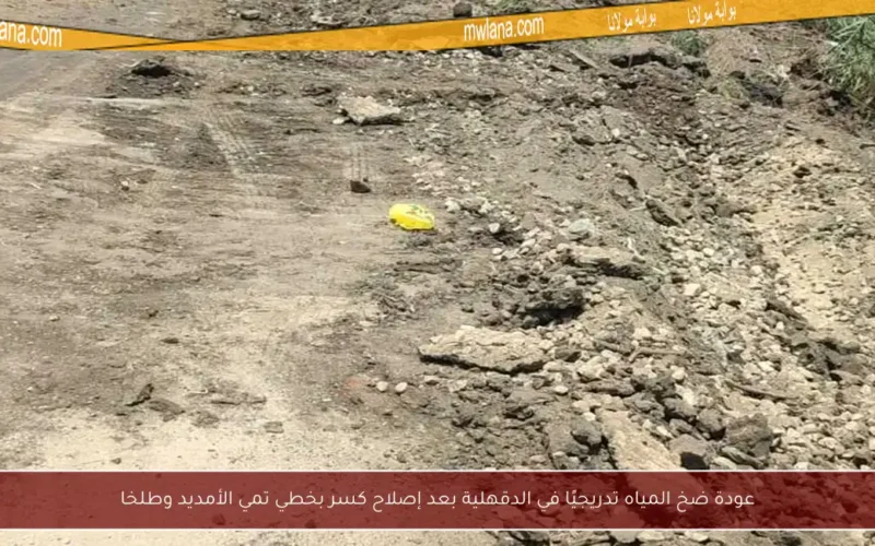 عودة ضخ المياه تدريجيًا في الدقهلية بعد إصلاح كسر بخطي تمي الأمديد وطلخا