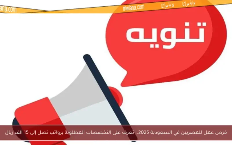 فرص عمل للمصريين في السعودية 2025.. تعرف على التخصصات المطلوبة برواتب تصل إلى 15 ألف ريال