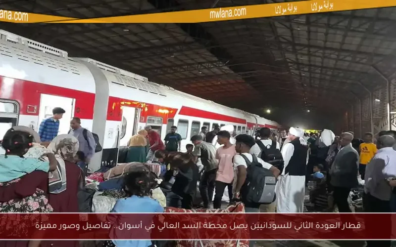 قطار العودة الثاني للسودانيين يصل محطة السد العالي في أسوان.. تفاصيل وصور مميزة