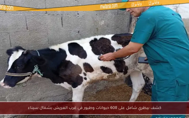 كشف بيطري شامل على 608 حيوانات وطيور في غرب العريش بشمال سيناء