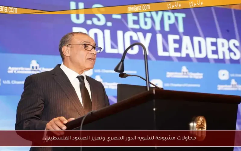 محاولات مشبوهة لتشويه الدور المصري وتعزيز الصمود الفلسطيني