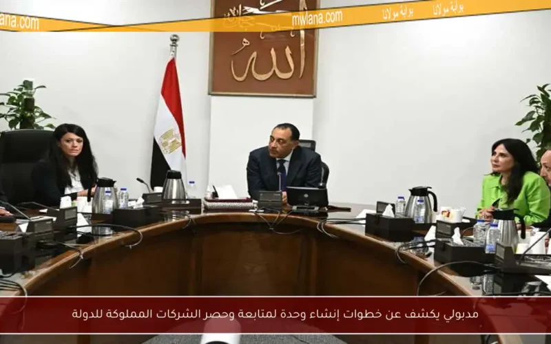 مدبولي يكشف عن خطوات إنشاء وحدة لمتابعة وحصر الشركات المملوكة للدولة