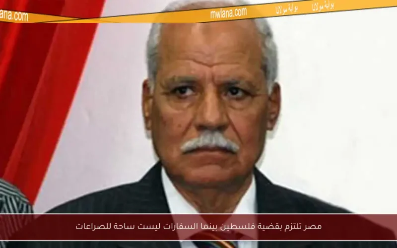مصر تلتزم بقضية فلسطين بينما السفارات ليست ساحة للصراعات