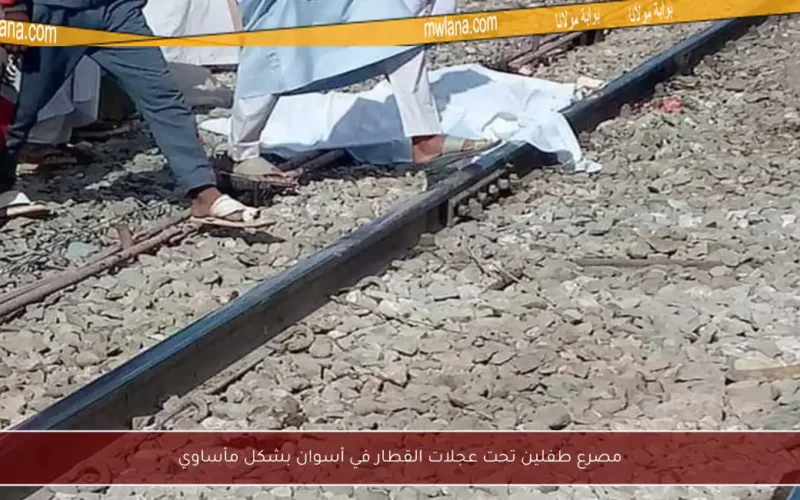 مصرع طفلين تحت عجلات القطار في أسوان بشكل مأساوي