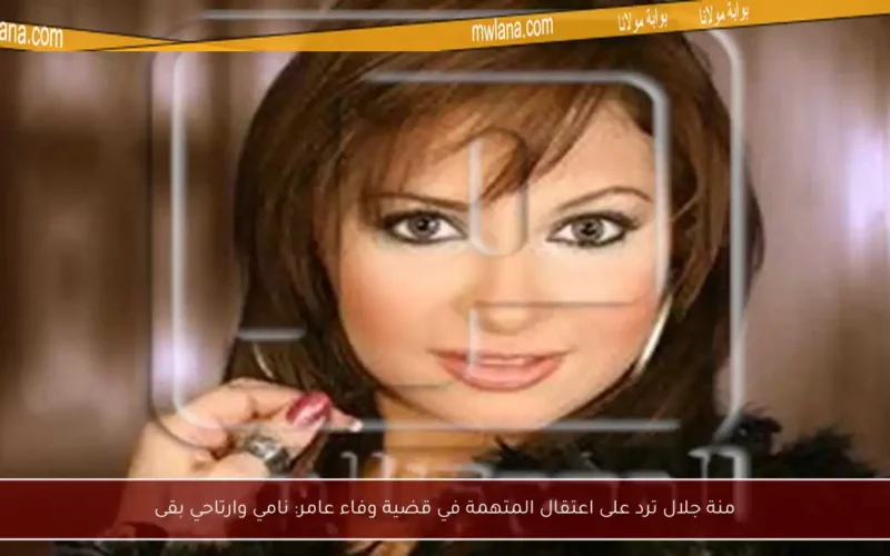 منة جلال ترد على اعتقال المتهمة في قضية وفاء عامر: نامي وارتاحي بقى