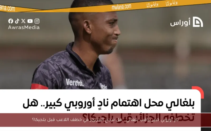 نادٍ أوروبي كبير يراقب بلغالي.. هل تنجح الجزائر في خطف اللاعب قبل بلجيكا؟