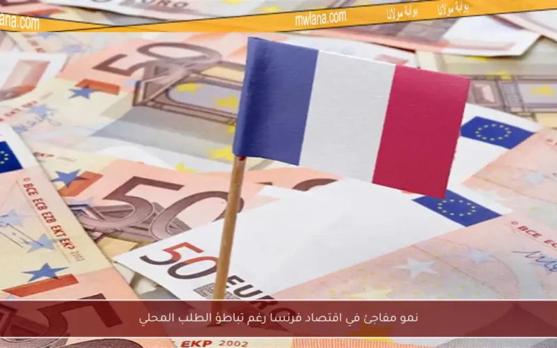 نمو مفاجئ في اقتصاد فرنسا رغم تباطؤ الطلب المحلي