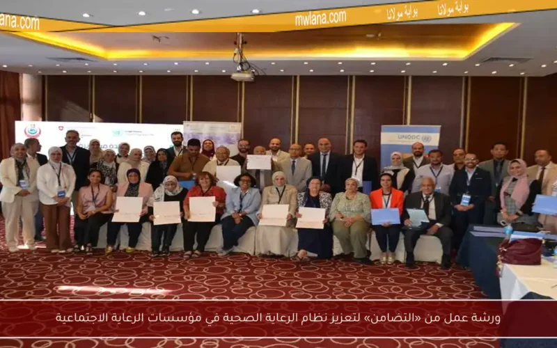 ورشة عمل من «التضامن» لتعزيز نظام الرعاية الصحية في مؤسسات الرعاية الاجتماعية