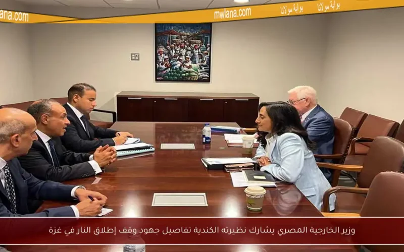 وزير الخارجية المصري يشارك نظيرته الكندية تفاصيل جهود وقف إطلاق النار في غزة