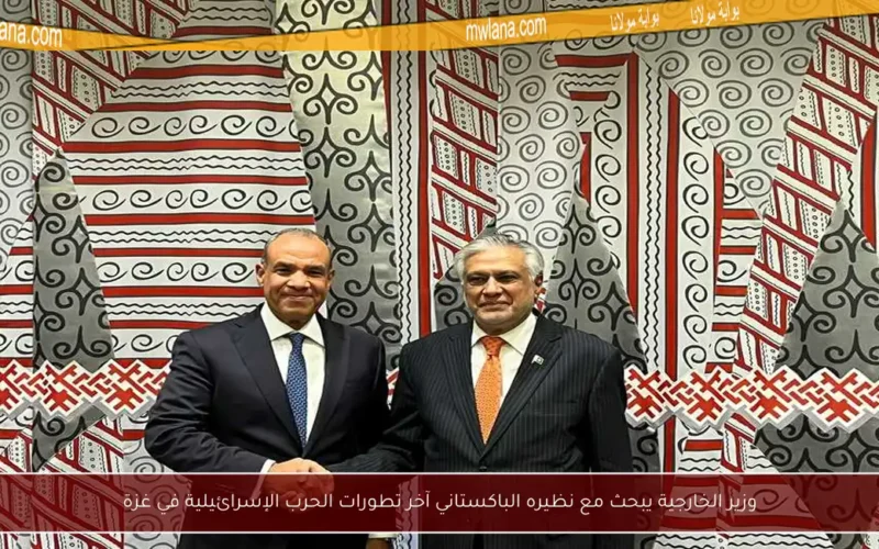 وزير الخارجية يبحث مع نظيره الباكستاني آخر تطورات الحرب الإسرائيلية في غزة