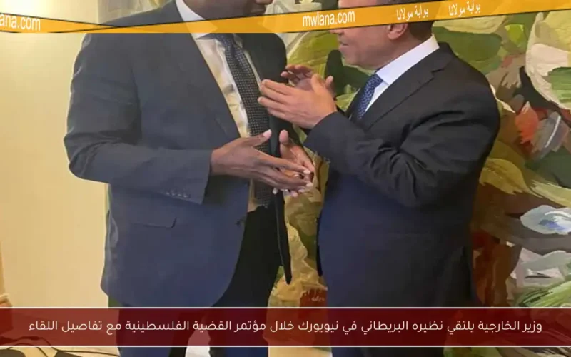 وزير الخارجية يلتقي نظيره البريطاني في نيويورك خلال مؤتمر القضية الفلسطينية مع تفاصيل اللقاء