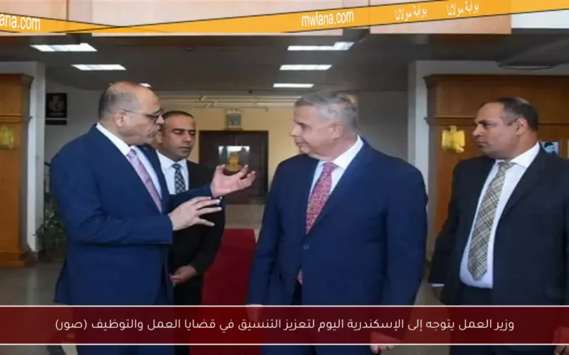 وزير العمل يتوجه إلى الإسكندرية اليوم لتعزيز التنسيق في قضايا العمل والتوظيف (صور)