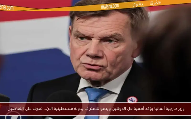 وزير خارجية ألمانيا يؤكد أهمية حل الدولتين ويدعو للاعتراف بدولة فلسطينية الآن.. تعرف على التفاصيل!
