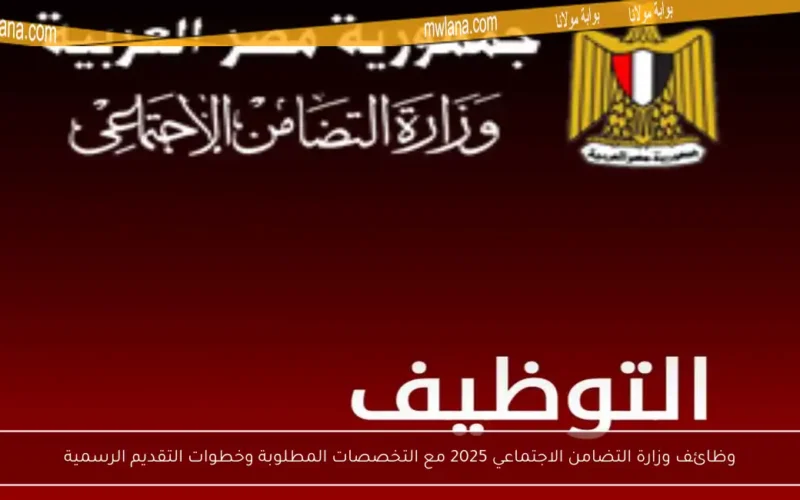 وظائف وزارة التضامن الاجتماعي 2025 مع التخصصات المطلوبة وخطوات التقديم الرسمية
