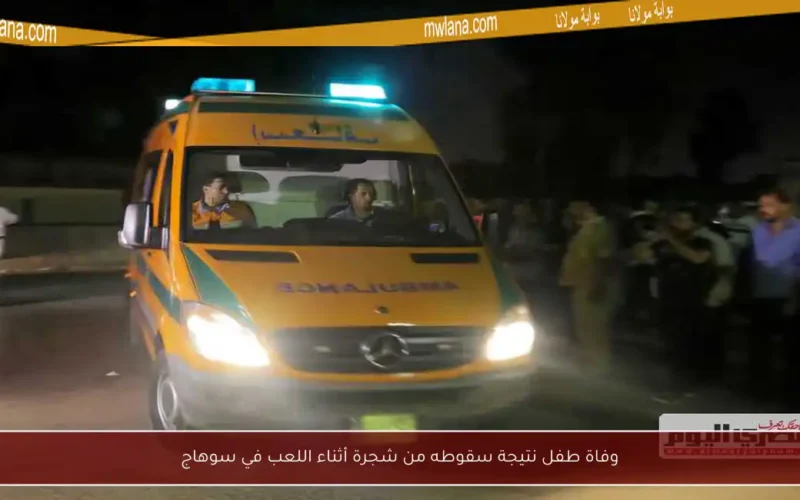 وفاة طفل نتيجة سقوطه من شجرة أثناء اللعب في سوهاج