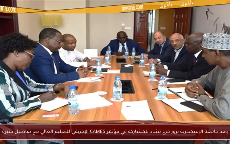 وفد جامعة الإسكندرية يزور فرع تشاد للمشاركة في مؤتمر CAMES الإفريقي للتعليم العالي مع تفاصيل مثيرة