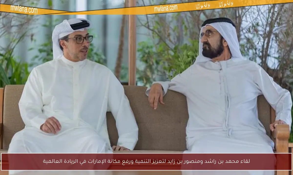 لقاء محمد بن راشد ومنصور بن زايد لتعزيز التنمية ورفع مكانة الإمارات في الريادة العالمية
