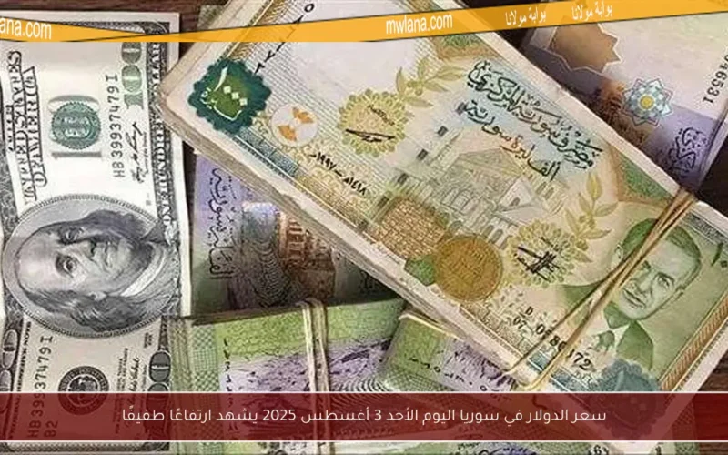 سعر الدولار في سوريا اليوم الأحد 3 أغسطس 2025 يشهد ارتفاعًا طفيفًا
