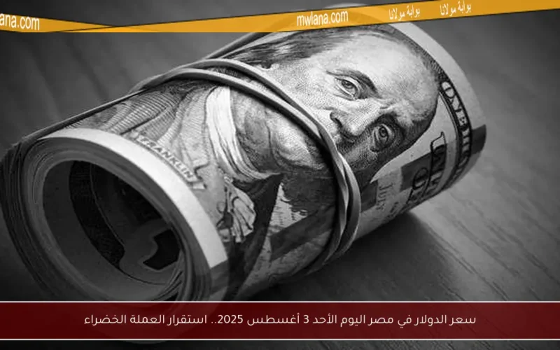 سعر الدولار في مصر اليوم الأحد 3 أغسطس 2025.. استقرار العملة الخضراء